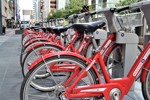 Row of bicycles